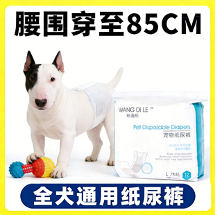 牛头梗狗狗尿不湿公狗专用纸尿裤 母狗小狗宠物月经老年狗 生理裤