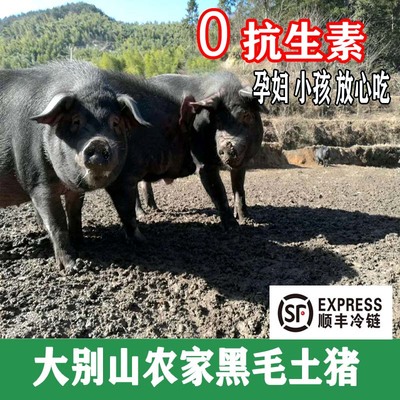 散养土猪肉新鲜现杀前腿肉五花肉