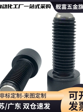 ZC108-1内六角球头柱塞波珠BPRL4-M8/4/5/6/10/15/20/25/30/35/40