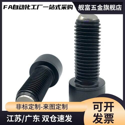 ZC108-1内六角球头柱塞波珠BPRL4-M8/4/5/6/10/15/20/25/30/35/40