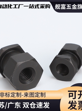 FJR3/4/5/6/8/10/12/14/16/18/22-1.0/1.25气缸内六角浮动接头FJG