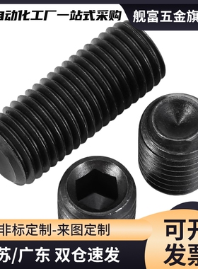 内六角止动螺丝MSSF5-4/5/6/8/10/12/16/20 TAY01/TAY0