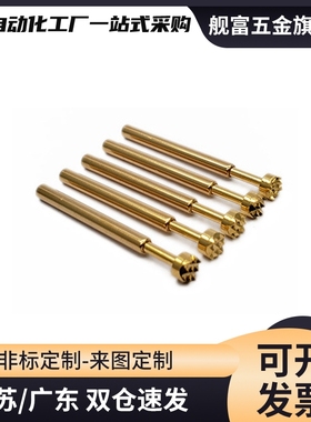 PLS09/11-A/B/F/H PRS09-VC/WC PRS11-V1/W1 探针