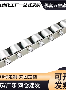 3009聚氨酯包胶流利条COROU/CRONUR/CROSUR滚轮条 QJA31/36-29/33