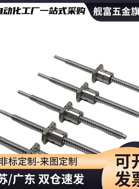 滚珠丝杆LCV02 07- 25-5 25-10 25-25丝杠螺母套装全套