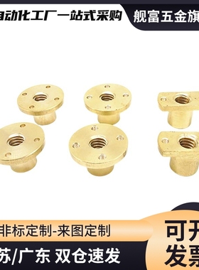 丝杠螺帽C-MTSFRC/MTSNRC/MTSGRC/MTSCRC8 10 12 14 16 20 22 25