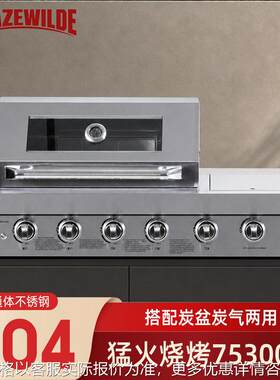 户外花园嵌入式木炭燃气两用烧烤炉美式BBQ庭院不锈钢304烤箱架子