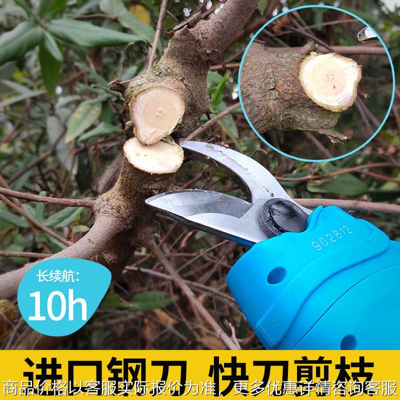 36V电动剪枝机修枝剪果树园林剪刀园艺修剪机充电式枝剪空剪图片