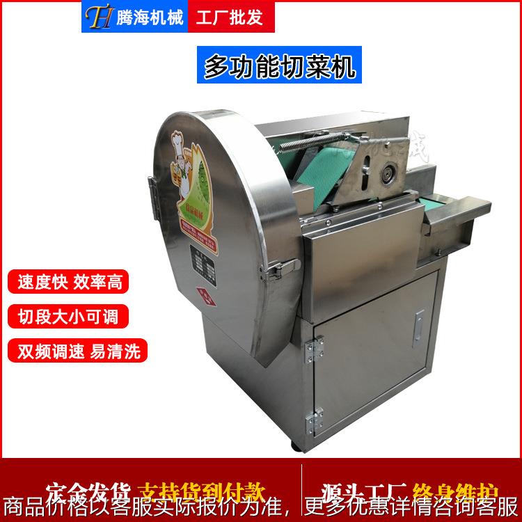 苦瓜黄瓜切片机 小型全自动芹菜蒜苔豆角切段机 双调速白菜切丝机
