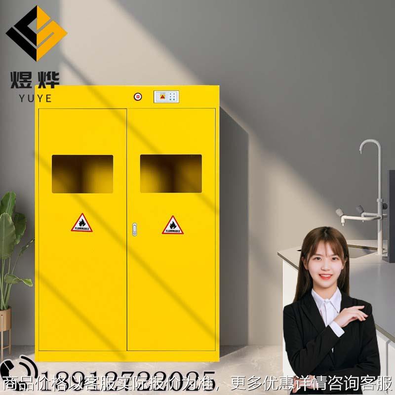 防爆气瓶柜全钢实验室安全柜工业氧气乙炔煤气罐报警器双瓶储存柜