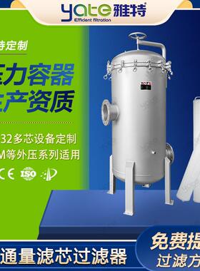 304不锈钢保安过滤器电厂化工冷凝水高精度40寸大流量芯式过滤器