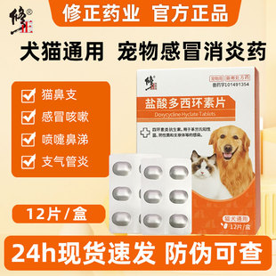 修正猫狗感冒药咳嗽喷嚏鼻涕支气管炎消炎药猫鼻支盐酸多西环素片