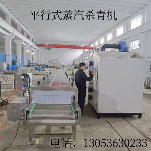 商用小油菜杀青机 全自动蔬菜漂烫杀青流水线 豌豆荚蒸煮漂烫机