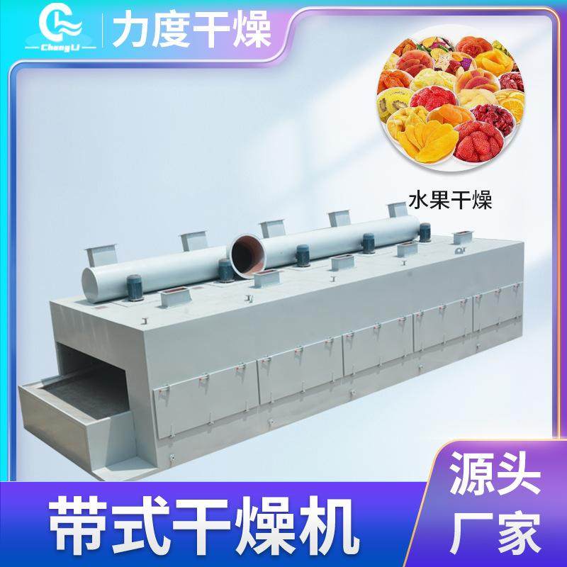 DW系列网带式干燥机果脯肉脯多层带式干燥机宠物零食烘干设备厂家,机械设备,干燥机/干燥箱/烘干机,淘宝优惠券,粉丝福利购,淘宝优惠卷