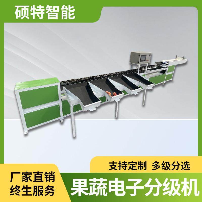 西红柿自动分选机 橘子多级别重量选果机 油杏称重等级分拣机,机械设备,涂装设备,淘宝优惠券,粉丝福利购,淘宝优惠卷