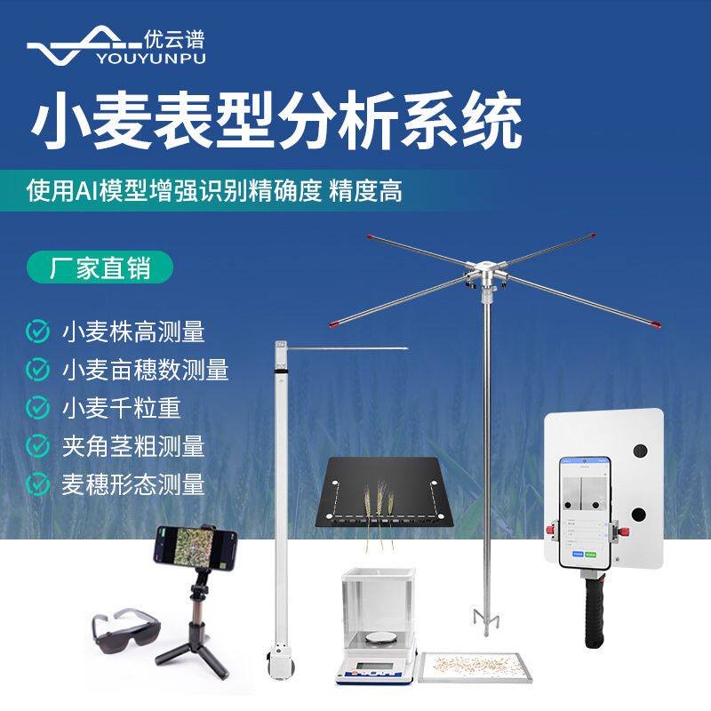 小麦表型分析系统麦穗形态小麦亩穗数测量系统小麦表型测量分析仪