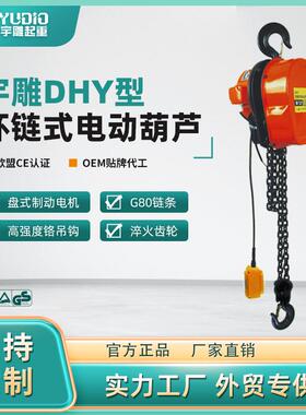 宇雕源头工厂DHY型环链式电动葫芦2t3T5吨倒链提升机起重微型吊机