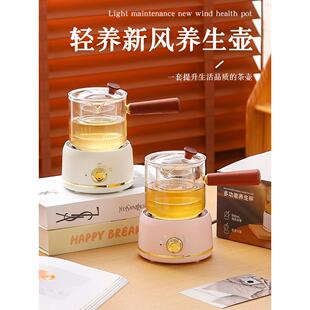 侧柄壶健康壶办公室小花茶壶一人茶壶电炖杯迷你多功能健康杯