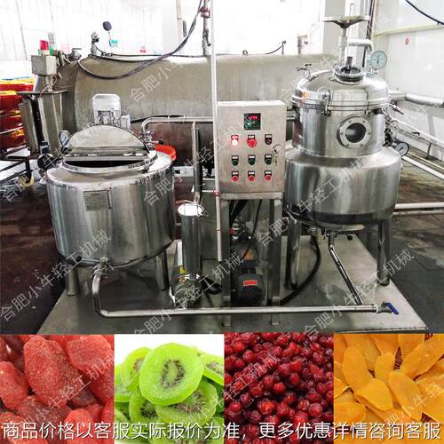 真空蜜渍罐 真空蜜渍锅 蜜渍豆糖纳豆真空压力渗糖浸蜜加工设备