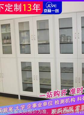 厂家实验室全钢器皿柜 试剂柜柜实验台 全钢试验台直供