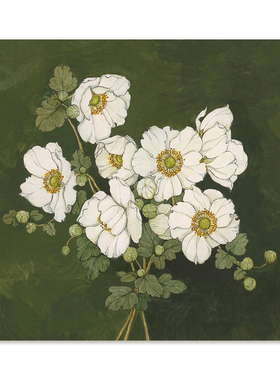 【特惠捡漏】Carleigh Courey复刻艺术插画日式中古花卉装饰画芯