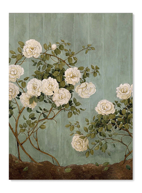 【特惠捡漏】Carleigh Courey复刻艺术插画法式中古花卉装饰画芯