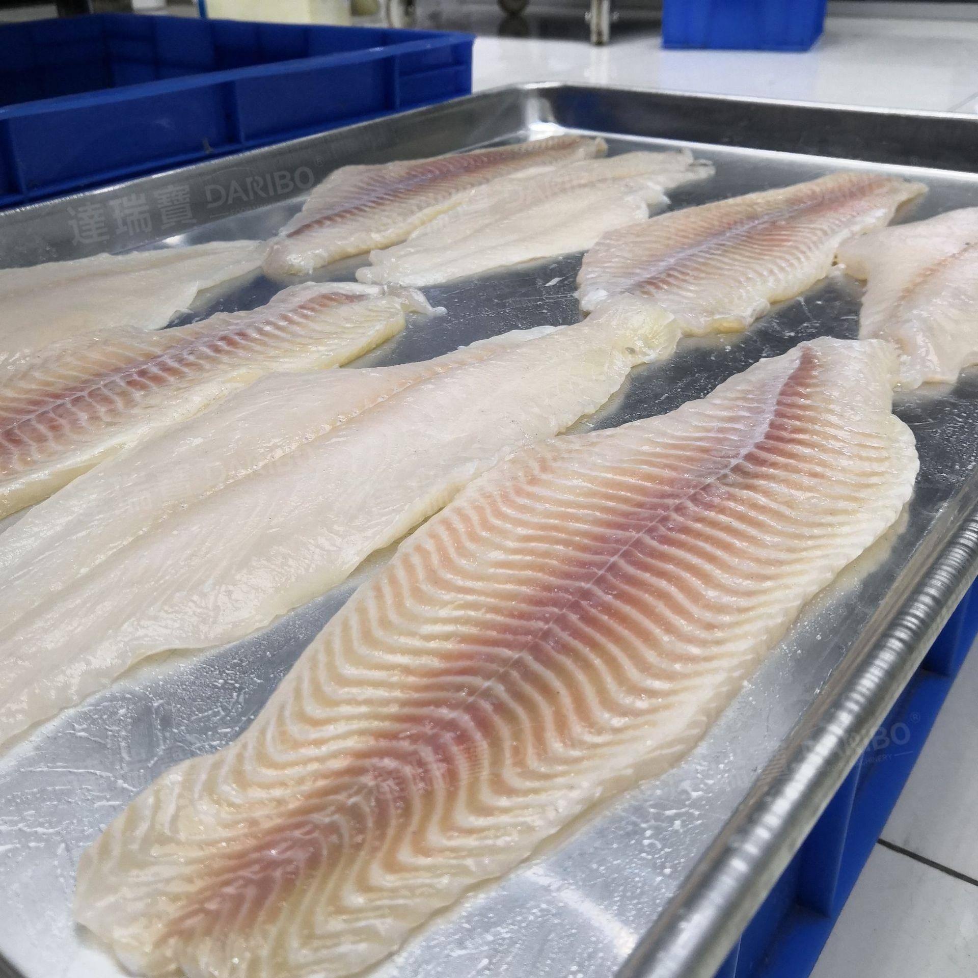 W厂家直销平剖机大块猪肉牛肉羊肉平剖机鱿鱼三文鱼水平切片机