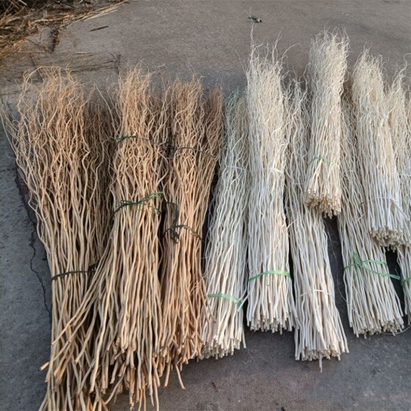 真树枝加工干树枝装饰品可弯曲造型DIY手工树枝材料干支龙柳树枝