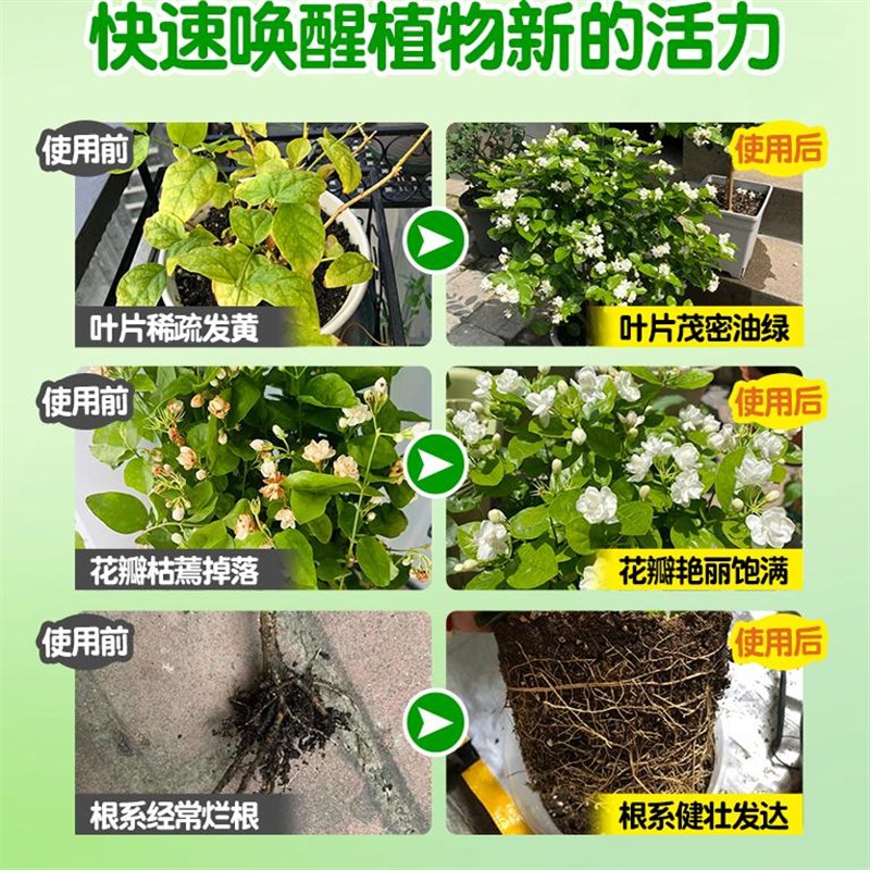 茉莉花专用肥免稀释营养液喜酸植物花肥家用盆栽通用养花液体肥料
