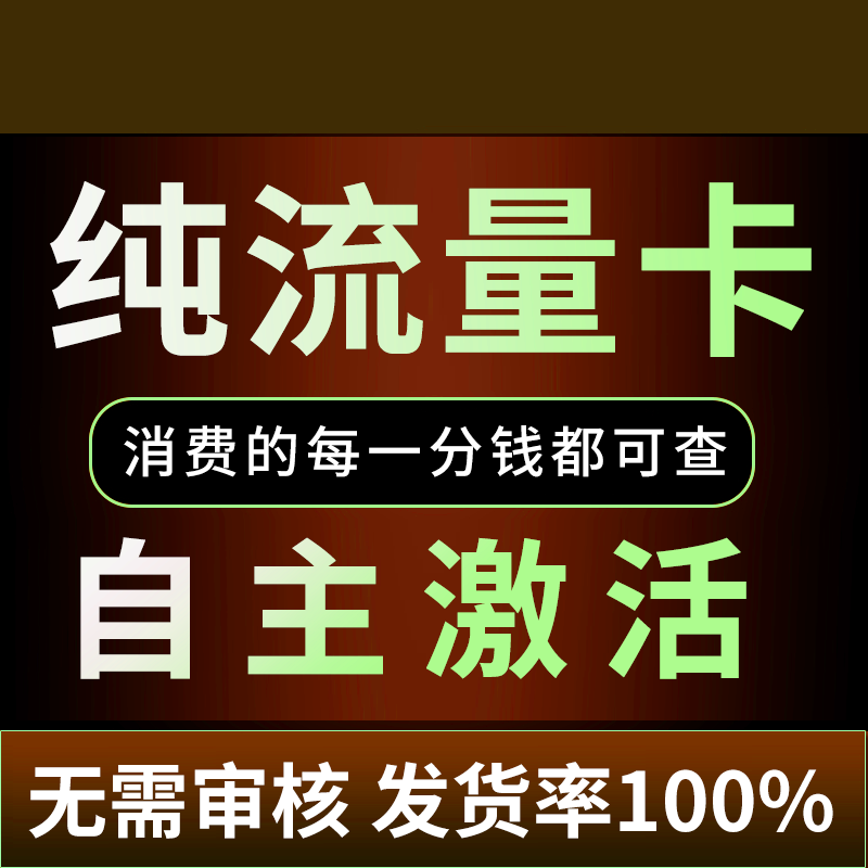 纯流量上网卡学生用无号流量卡无线网无通话全国通用5g流量网卡