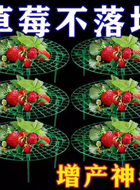 草莓立体托盘防烂支撑架