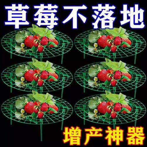 草莓立体托盘防烂支撑架