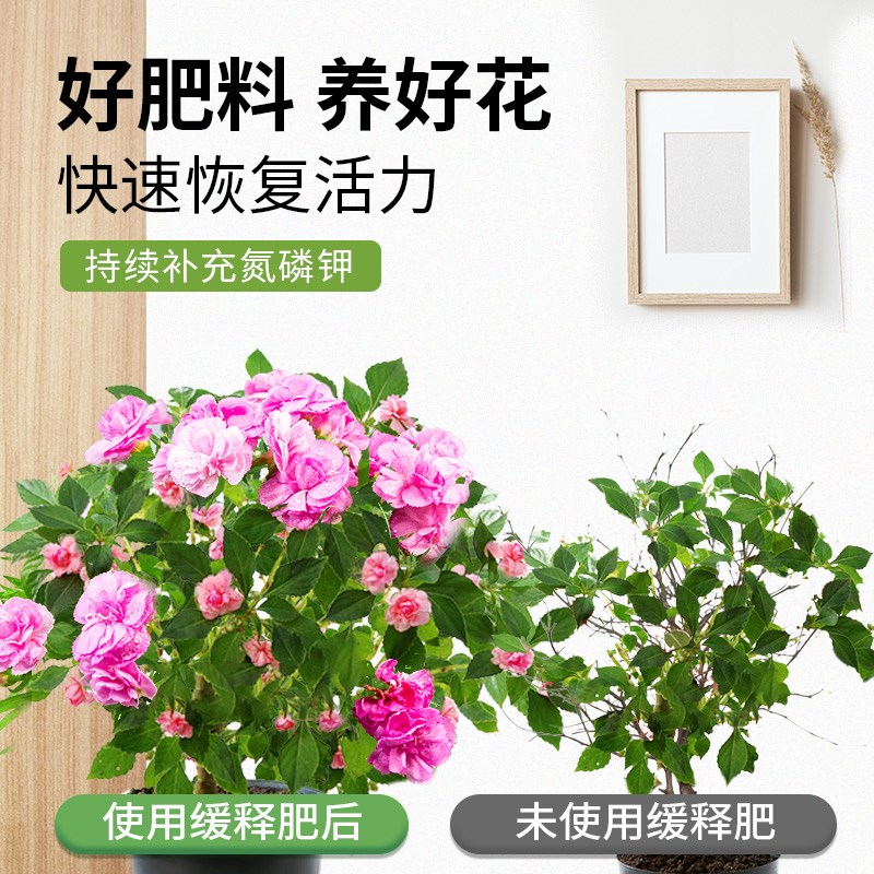 花肥家用通用型复合肥养花肥料盆栽通用营养液促进开花缓释肥颗粒