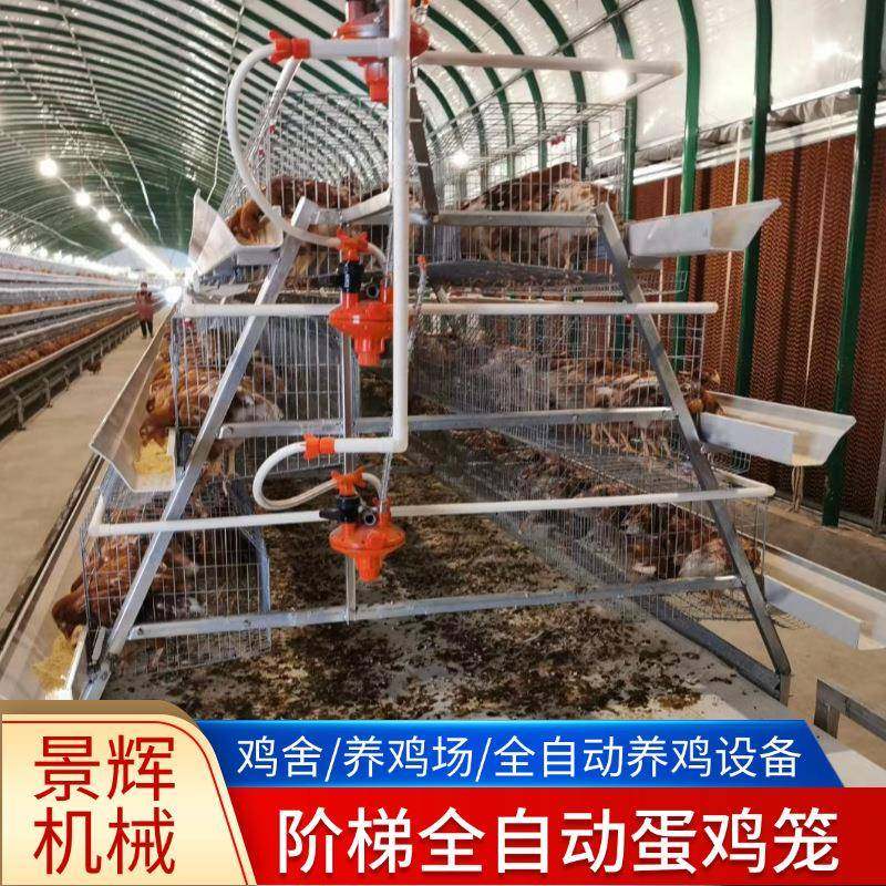 A型阶梯蛋鸡笼冷镀锌热镀锌四层四门禽类养殖场全自动阶梯蛋鸡笼,畜牧/养殖物资,特种养殖设备,淘宝优惠券,粉丝福利购,淘宝优惠卷