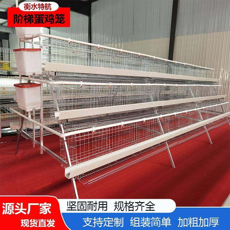 冷镀锌丝阶梯蛋鸡笼三层四层白槽绿槽养殖鸡笼蛋鸡笼,畜牧/养殖物资,特种养殖设备,淘宝优惠券,粉丝福利购,淘宝优惠卷