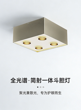 明装斗胆灯筒射一体超薄筒射灯客厅主灯餐厅卧室吸顶盒子灯高亮