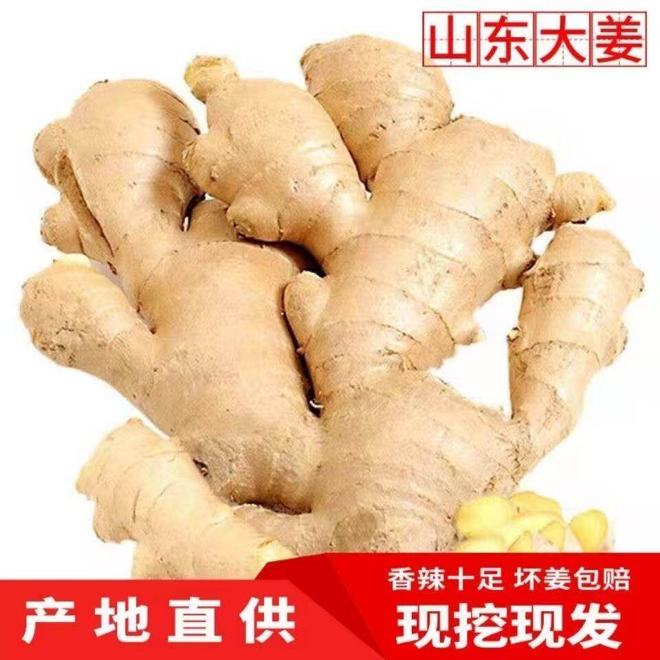 山东大姜优质生姜老姜月子姜