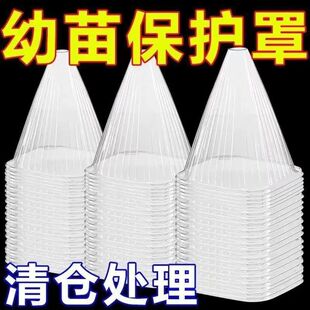 加厚防霜冻植物保护罩可重复使用免受鸟类伤害大棚育苗专用保护罩