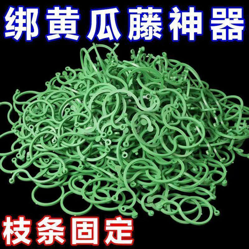 黄瓜西红柿豆角爬藤绑枝8字夹绿植蔬菜捆藤蔓专用固定夹园林工具