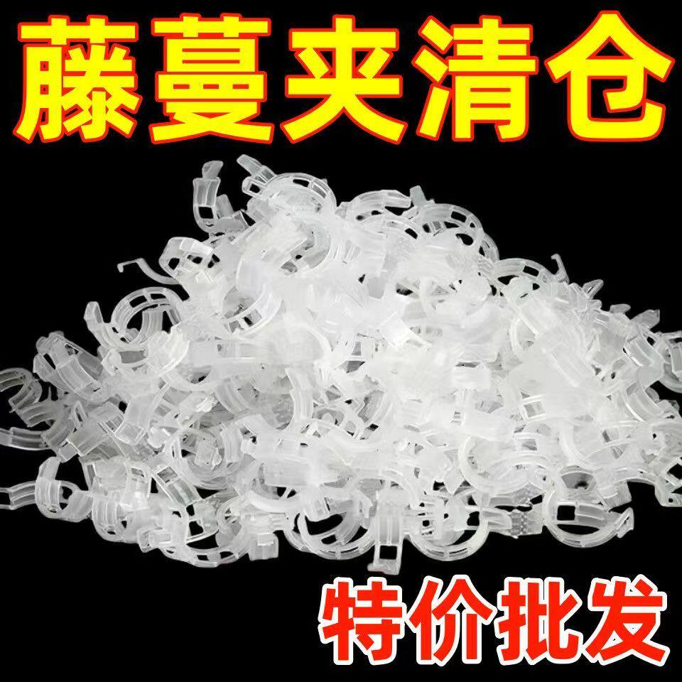 黄瓜西红柿豆角爬藤枝条固定器绿植蔬菜捆绑扎带藤蔓专用吊秧夹
