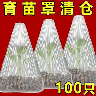 重复使用加厚方形植物透明钟罩大棚温室免受鸟类霜冻伤害育苗保护