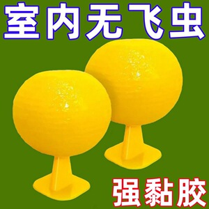 守果果室内长效果蝇粘蝇纸