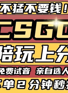 csgo陪玩 CS2陪玩 白菜价+接完美+5e+绿色，可全程直播！