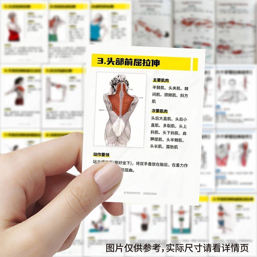 【大图释官方授权】126张健身干货贴纸健身肌肉拉伸教学分解动作训练锻炼运动diy贴画手机壳行李箱立体标签贴,文具电教/文化用品/商务用品,文创/手作/文化用品,淘宝优惠券,粉丝福利购,淘宝优惠卷