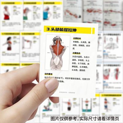 【大图释官方授权】126张健身干货贴纸健身肌肉拉伸教学分解动作训练锻炼运动diy贴画手机壳行李箱立体标签贴