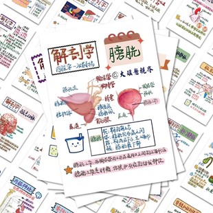 192张日常人体解剖医学贴纸人体医学器官知识手账手机防水贴画diy