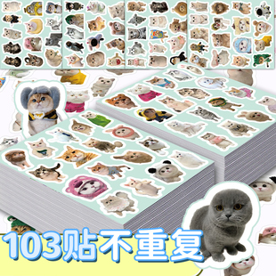 103张写实小猫贴纸卡通趣味萌宠装饰手机壳笔记本电脑防水贴画diy