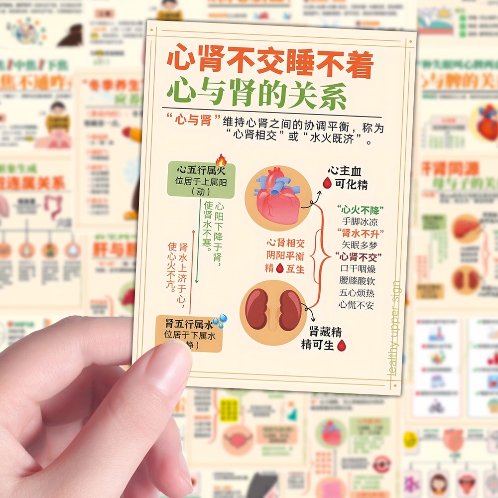 96张中医养生图解贴纸五脏六腑功能健康知识科普冬季养生贴画防水