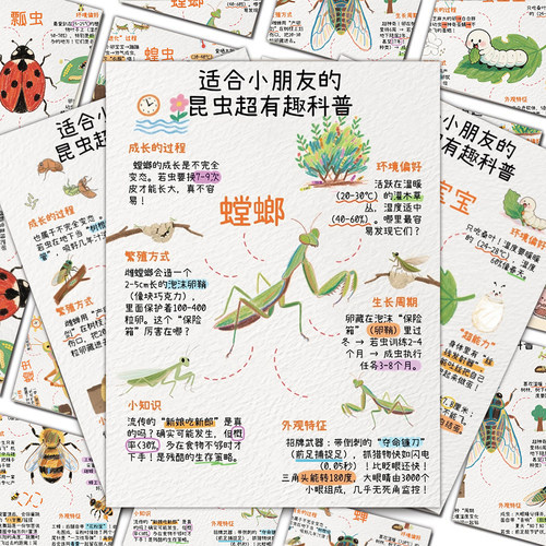 24张儿童昆虫图鉴防水贴纸