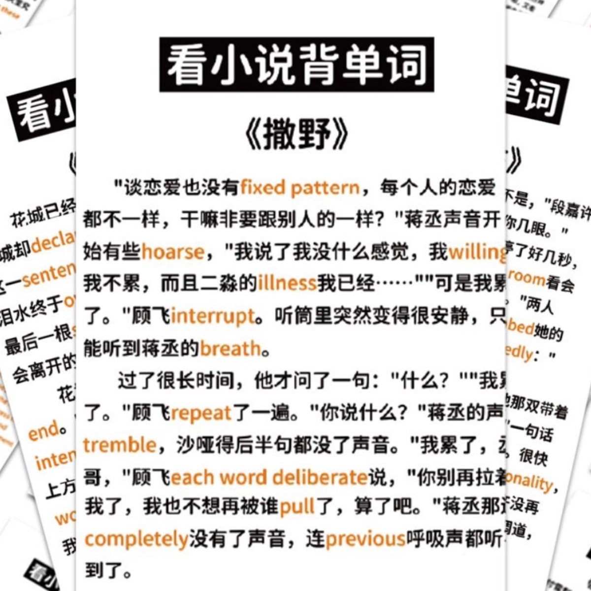 看小说记忆英语背单词贴纸